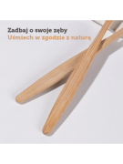 SZCZOTECZKI BAMBUSOWE ZESTAW KOLORÓW 10 SZT.