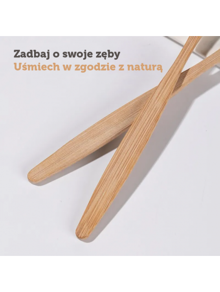 SZCZOTECZKI BAMBUSOWE ZESTAW KOLORÓW 10 SZT.